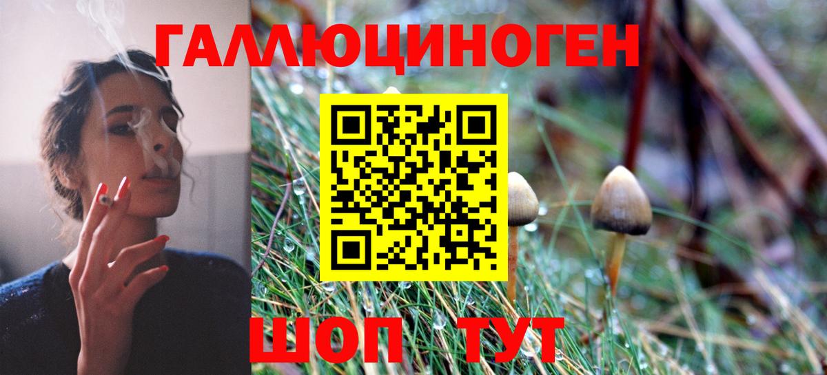 Галлюциногенные грибы Magic Shrooms  Галлюциногенные грибы Psilocybine cubensis  Симферополь  Вход с VPN 